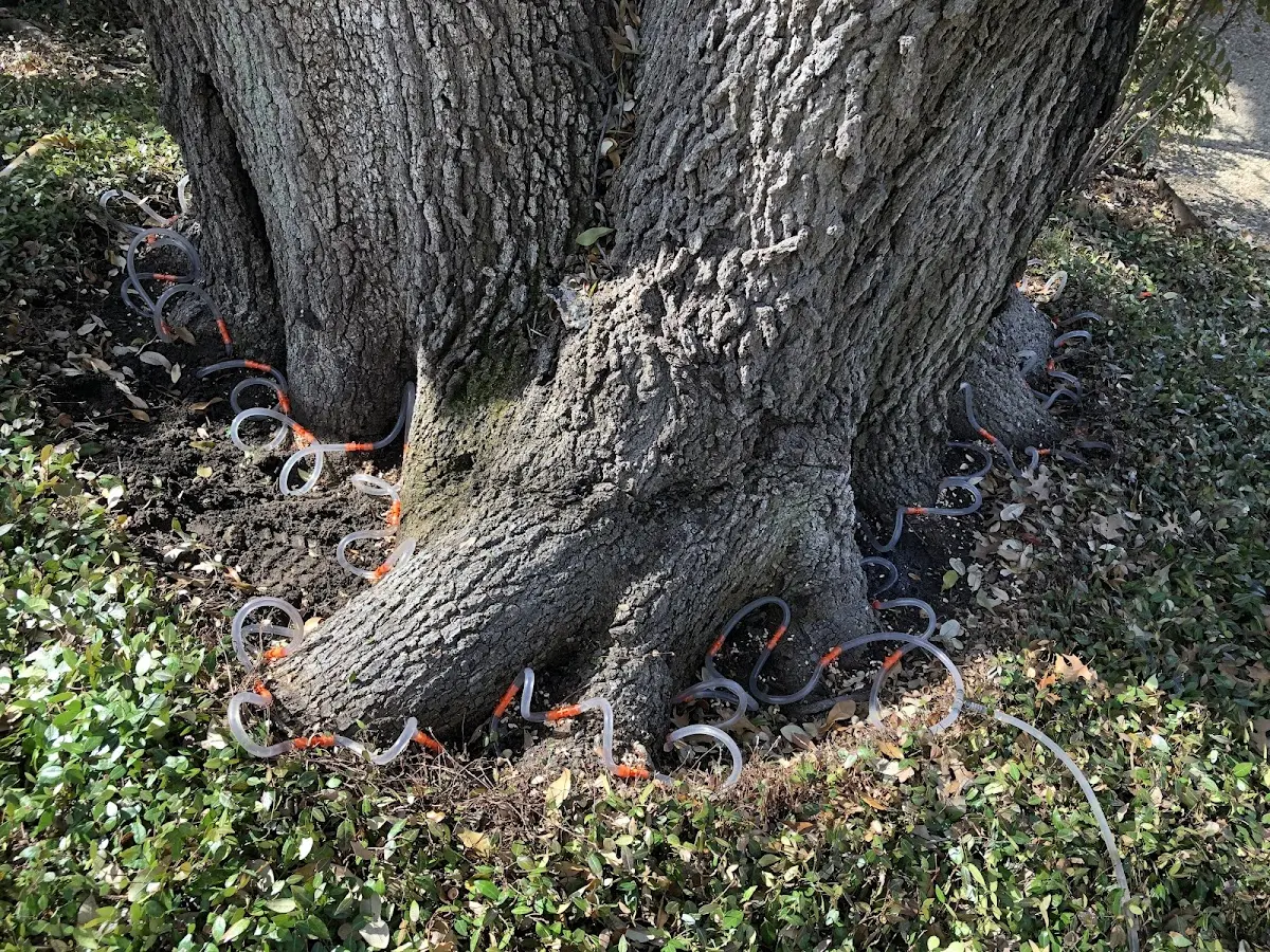 Detailed Shrub and Hedge Trimming job site in Long Lake