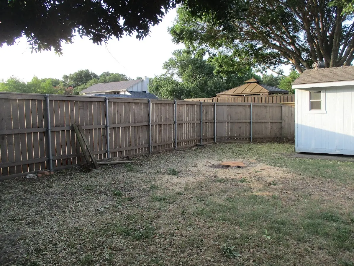 Cleared yard after professional tree removal in Long Lake