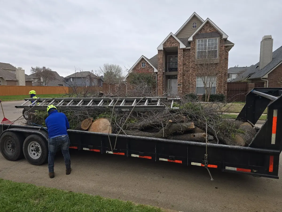Expert Lot Clearing with proper safety equipment in Long Lake